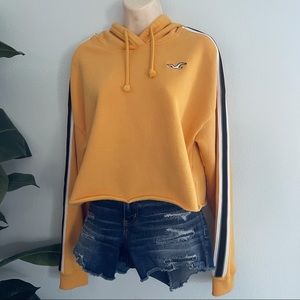 Hollister Crop Hoodie